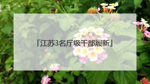 江苏3名厅级干部履新